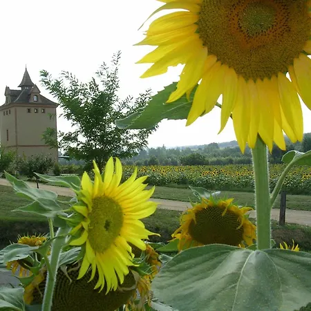 Le Pigeonnier De Roudet Holiday home